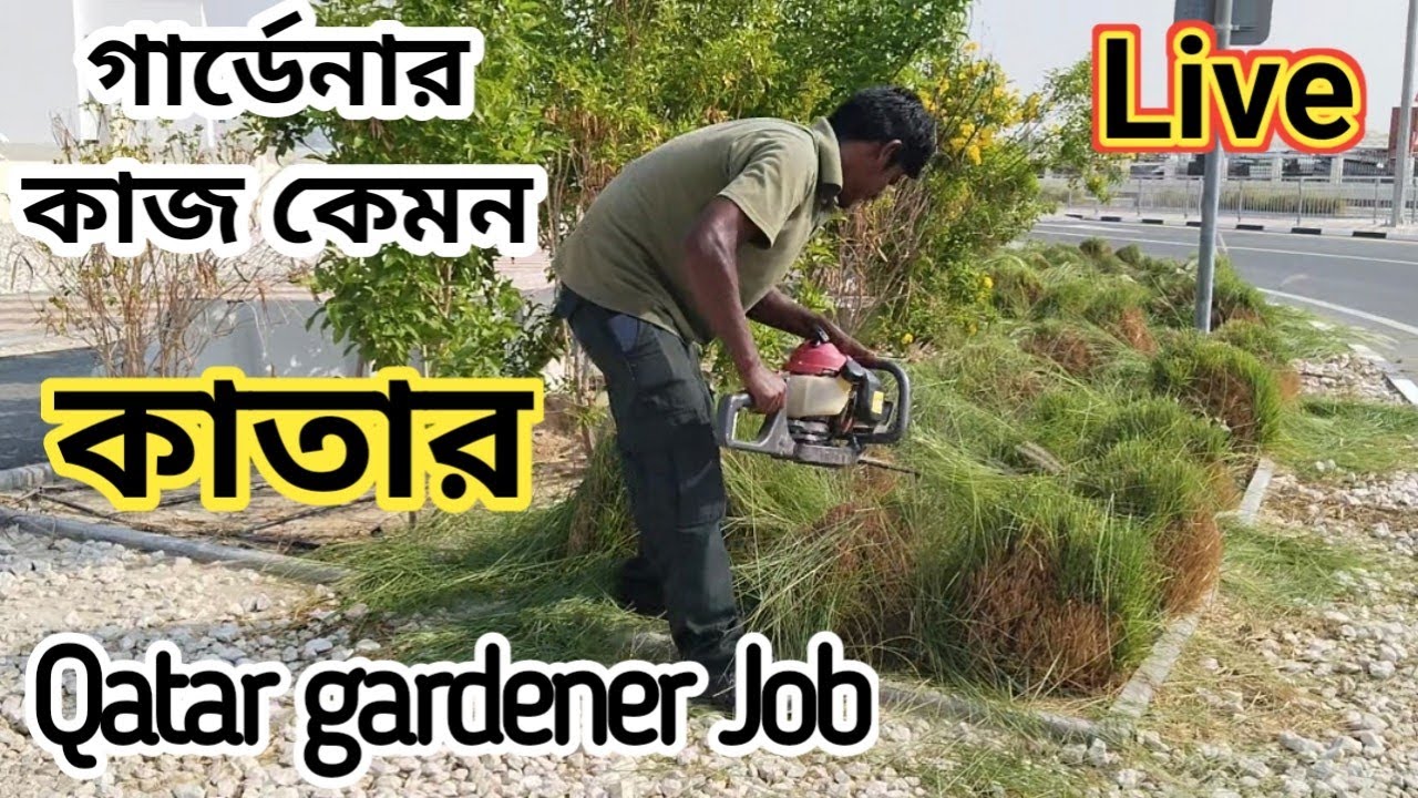 #Qatar Garden job news|কাতার গার্ডেনার কাজ কেমন। ভিসা কিনার আগে একবার দেখে নিন™