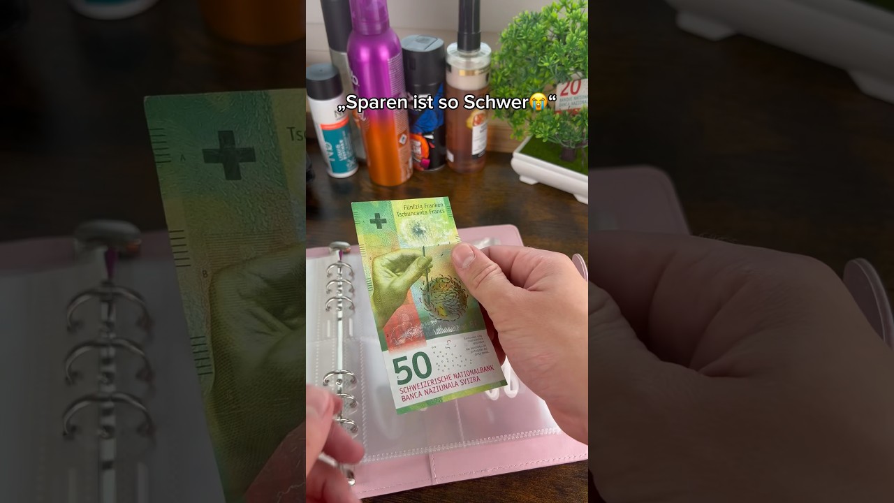 Mit deisem Buch sparst du so schnell🤩#sparen #geld #geldsparen