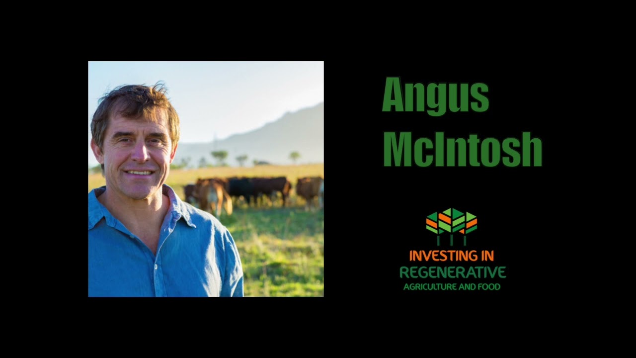 Angus McIntosh &ndash; Going from Goldman&rsquo;s trading desk to regen farming in South Africa