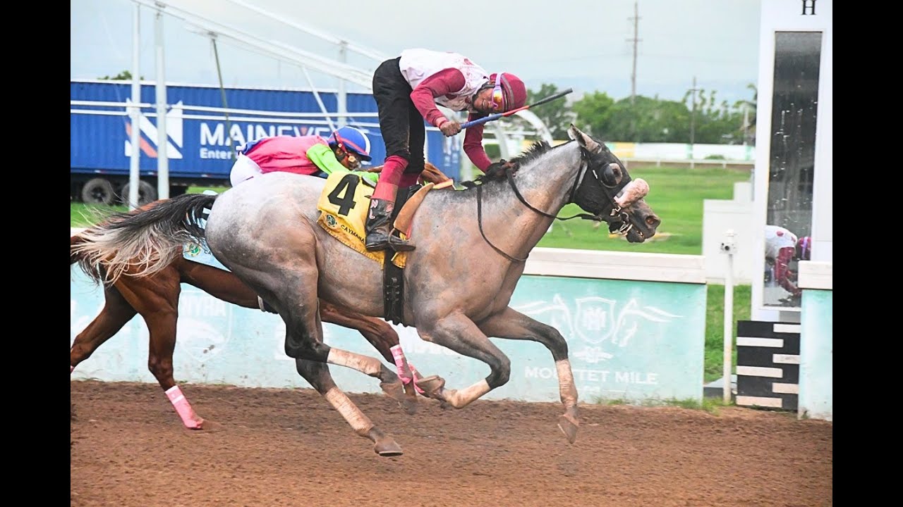 Watch All Finishes – Saturday, October 25, 2025