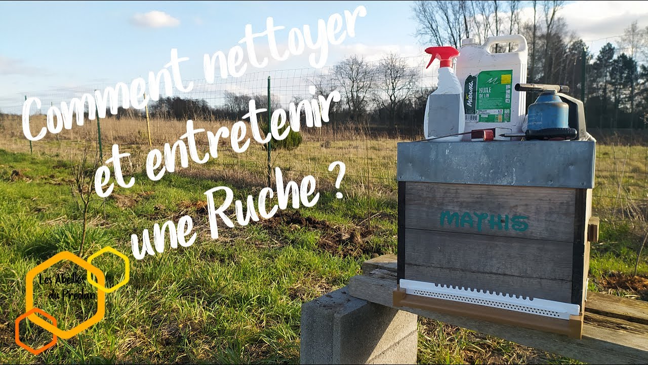 Prophylaxie : Comment nettoyer et entretenir une Ruche ? #Apiculture
