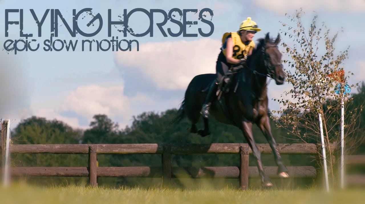 Epic Slow motion Horses