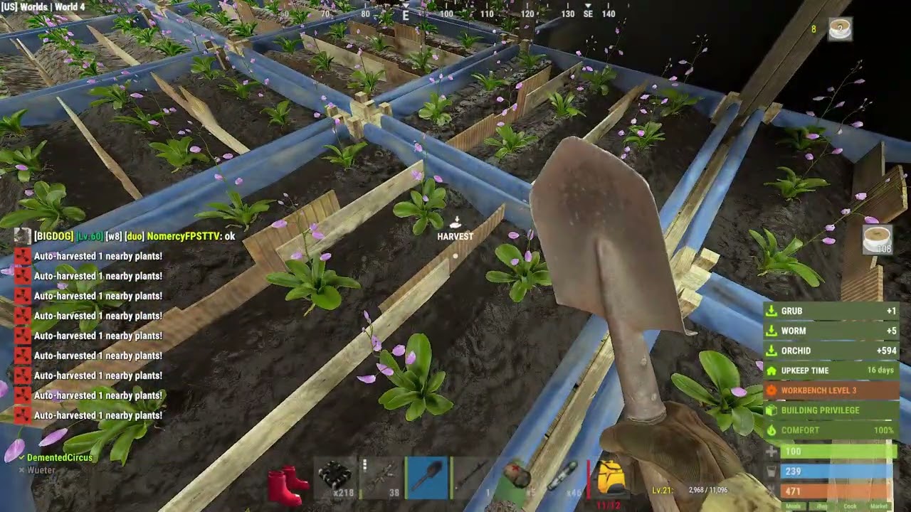 Rust   2026 03 08 3 43 32 PM