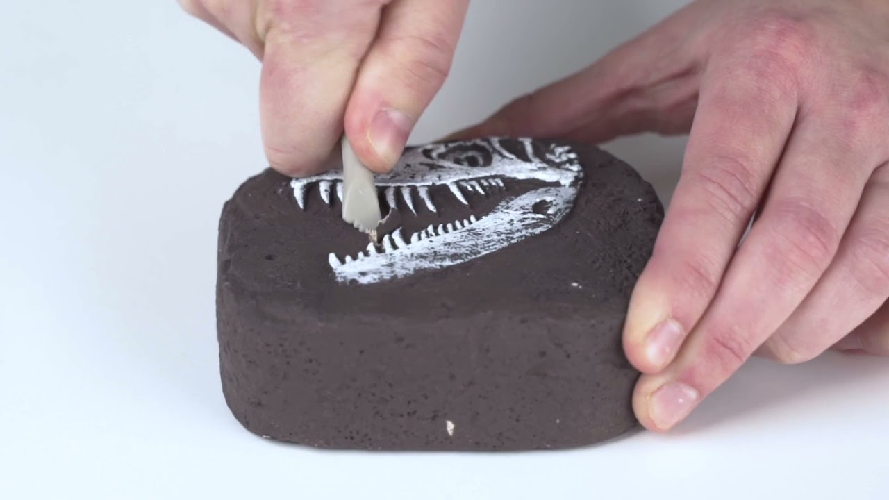 National Geographic - Dino Fossil Dig Kit
