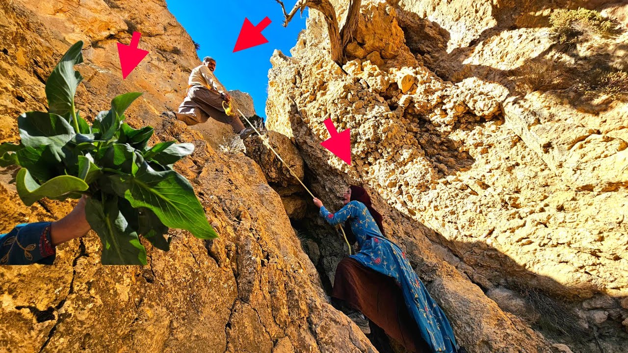 Tooba's daring journey to the rocks: traversing dangerous mountains to collect healing medicines🌱🏔🌿
