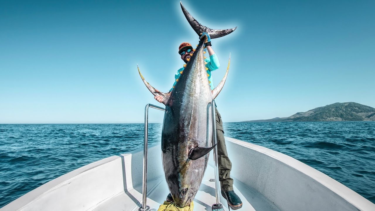 Pesca de ATUN de mas de 150 kg  / Ten cuidado con lo que deseas