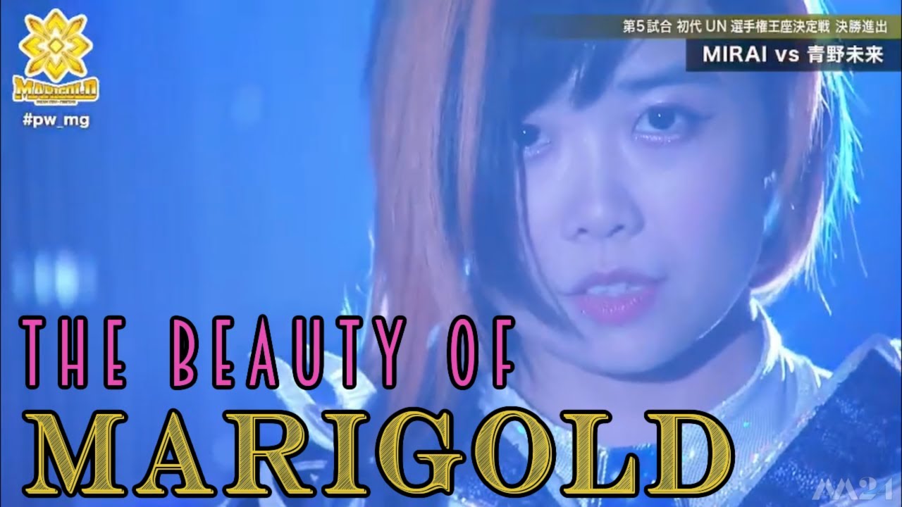 The Beauty of Dream Star Fighting Marigold