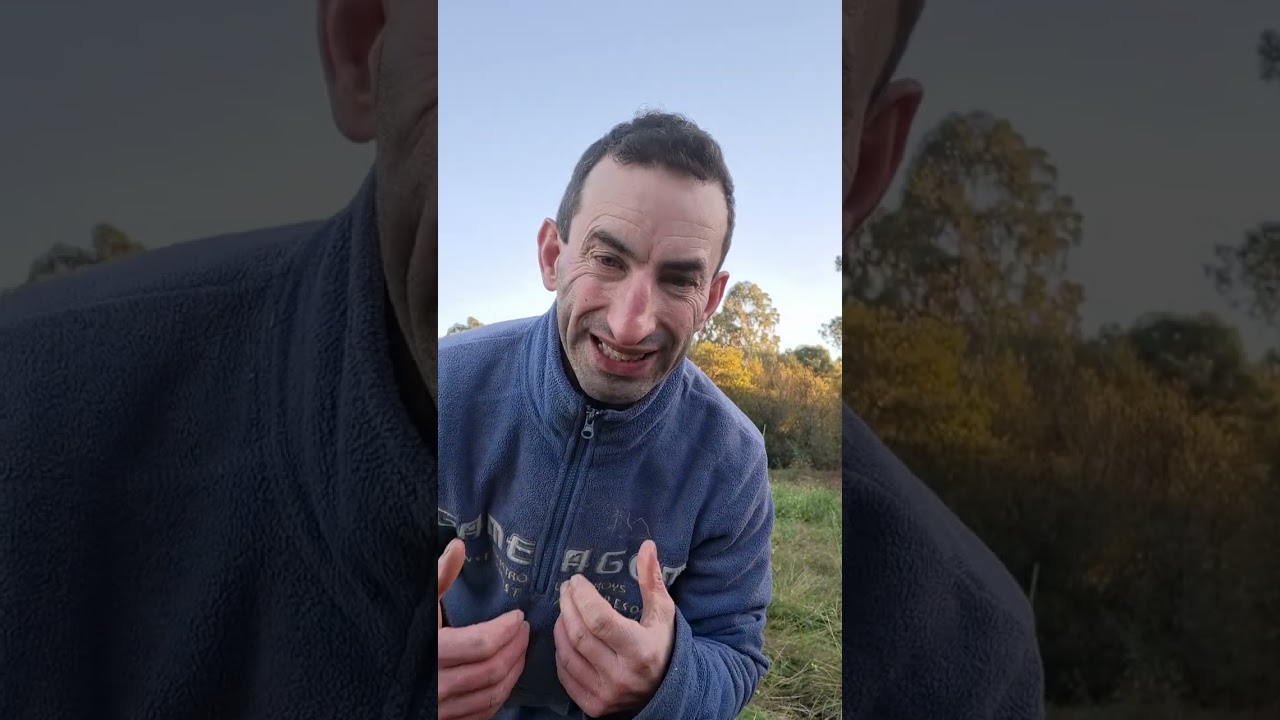 Mandarei facer factura si ma piden.