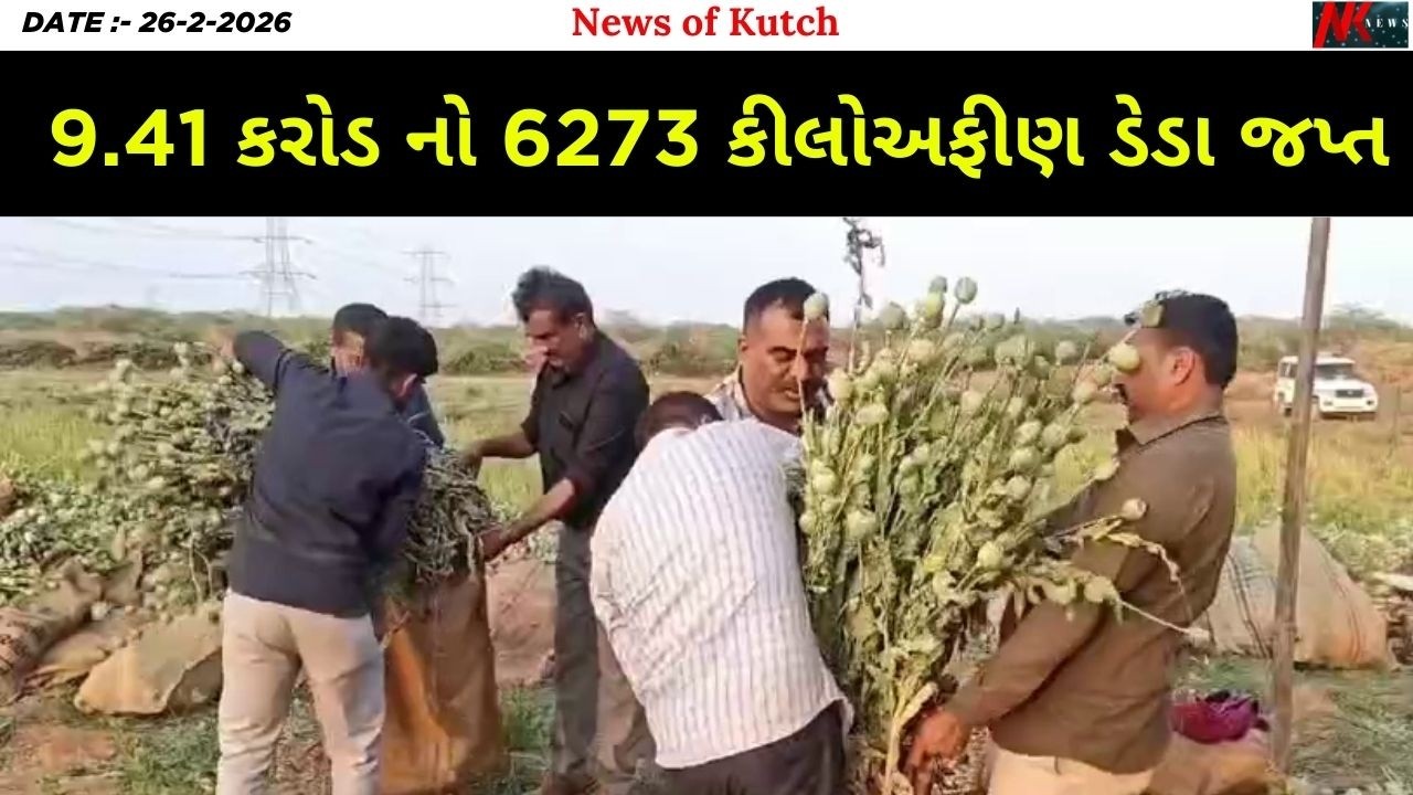 ભીમાસર-ભુટકીયા માં અફીણ ડેડા નો મોટો પર્દાફાશ! 9.41 કરોડ નો 6273 કીલોઅફીણ ડેડા #BhimasarBhutkiya