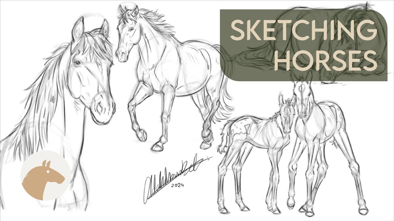Sketching Horses | 22.01.2024 | Equitación Sin Estrés