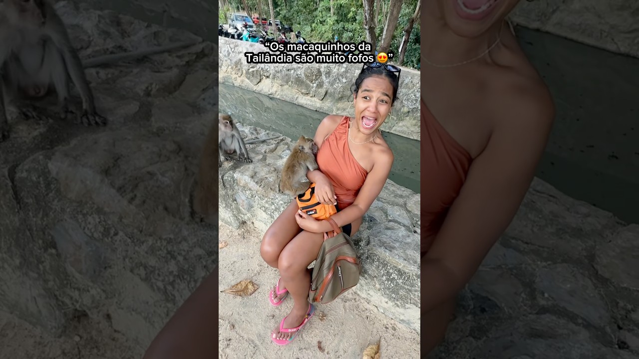 GASTEI R$4.000,00 pra n&atilde;o pegar RAIVA DO MACACO