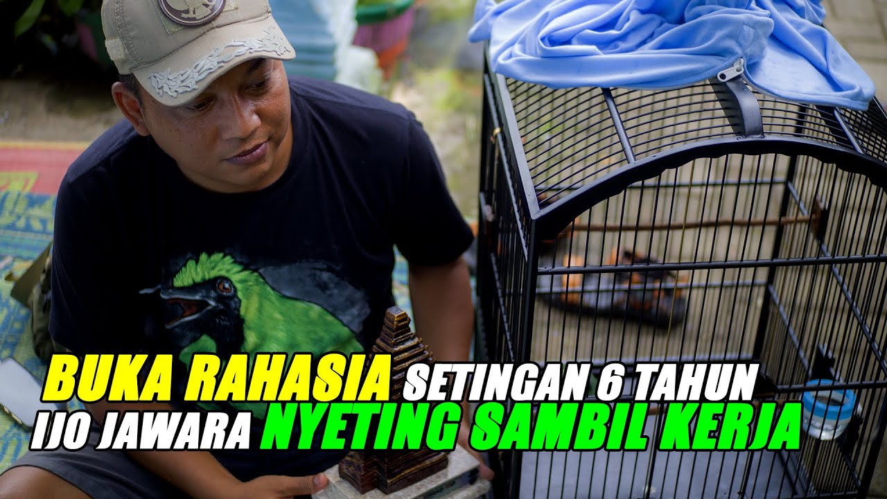BONGKAR RAWATAN SETINGAN IJO JAWARA COCOK BUAT PEKERJA