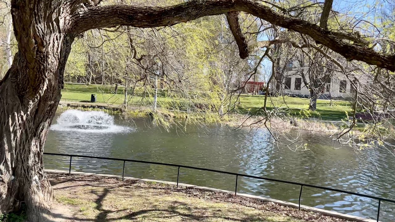 Stockholm Walks: L&aring;ngbro park. Short stroll in spring time