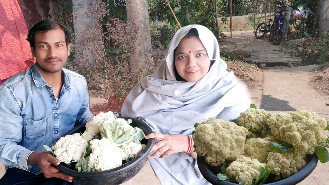 Authentic Village Style Aloo Gobi | Traditional Cauliflower And Potato Curry