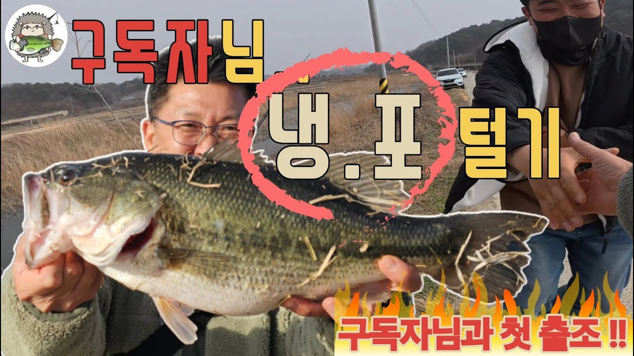 🦔 6짜 포인트 추천, 구독자님 냉장고포인트 털고 왔어요! [ft.대호만] ep. 25-05