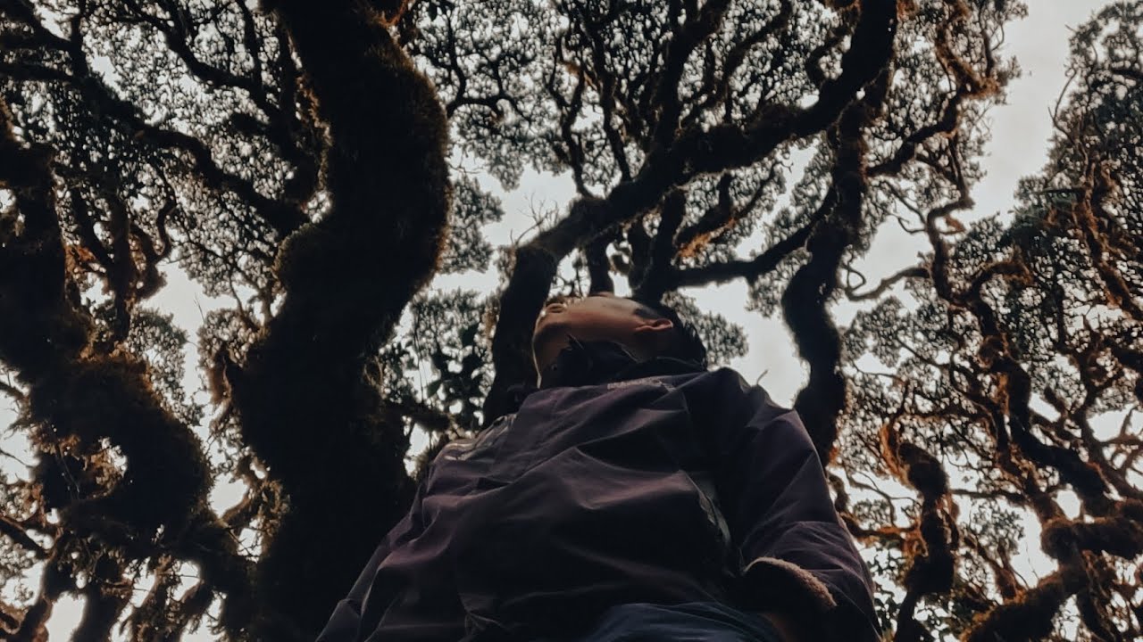 Conquering Mt. Madjaas: A Thrilling Hiking Adventure