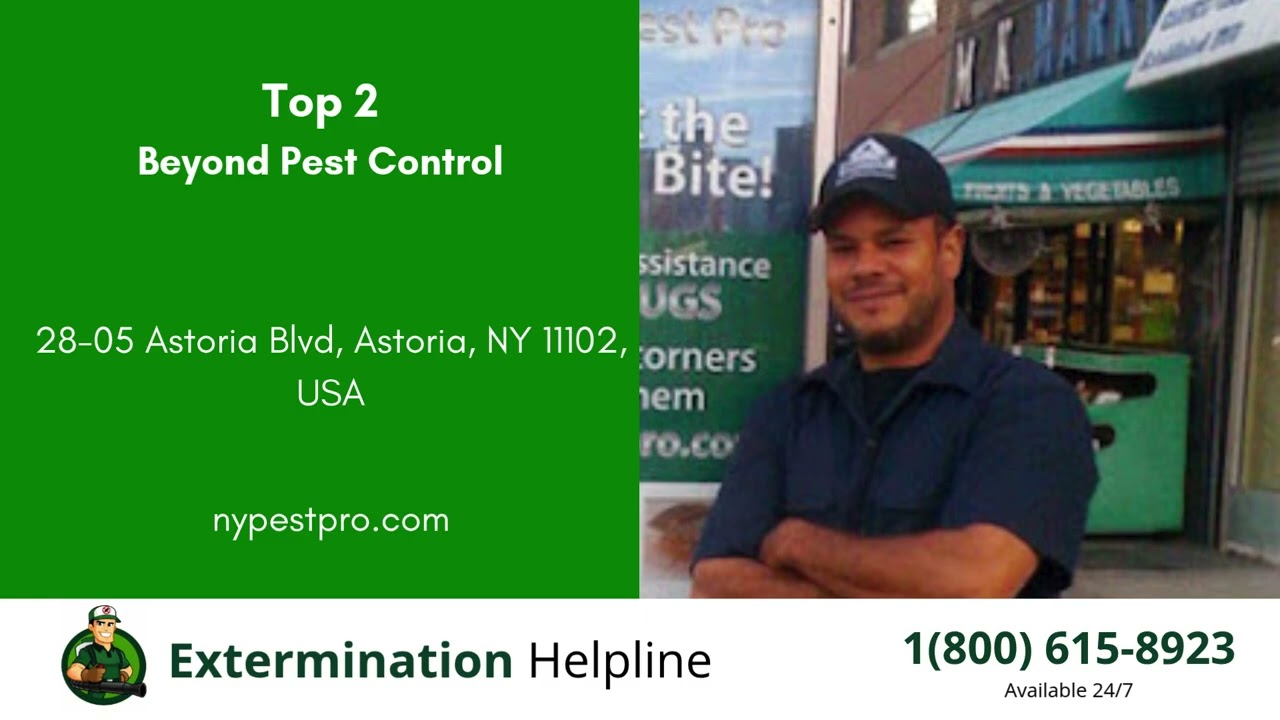 Top 3 Exterminators in Grand Rapids