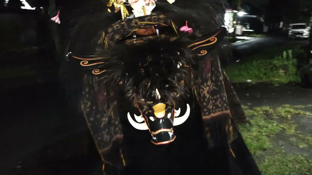 Barong bangkung tahun 2025
