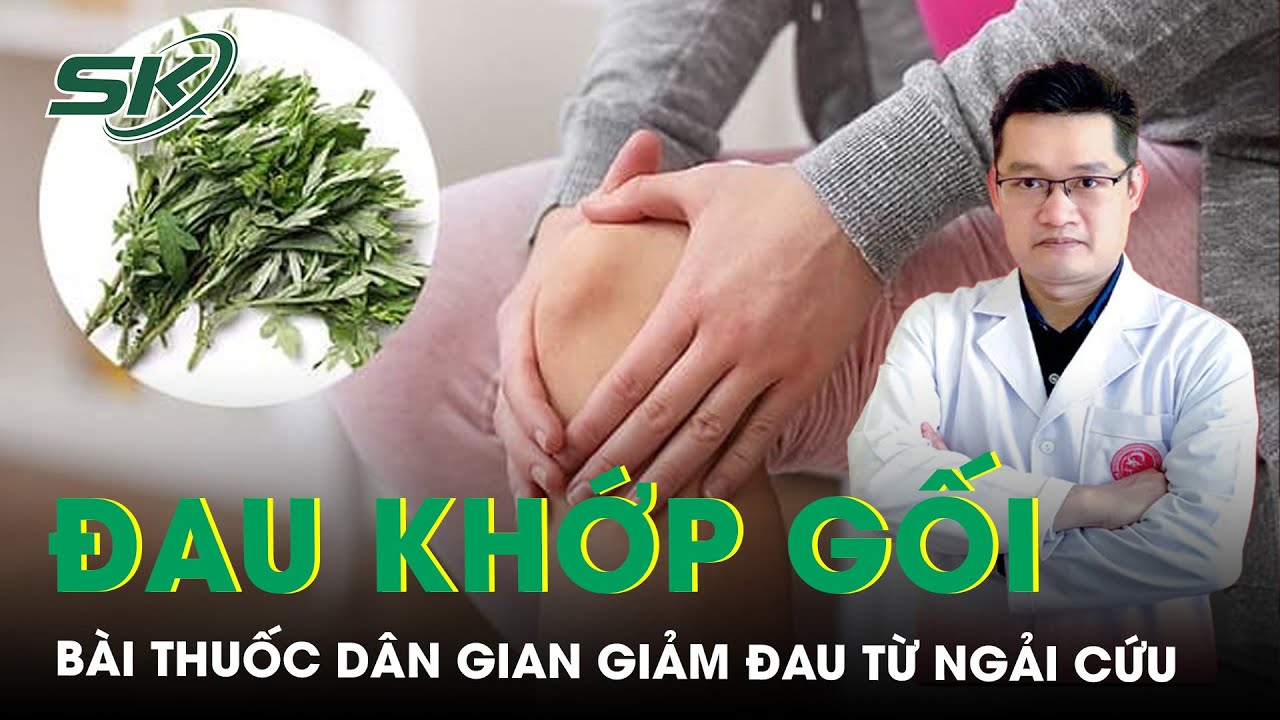 Ngải cứu chữa đau khớp gối, bài thuốc dân gian cực hiệu quả | SKĐS