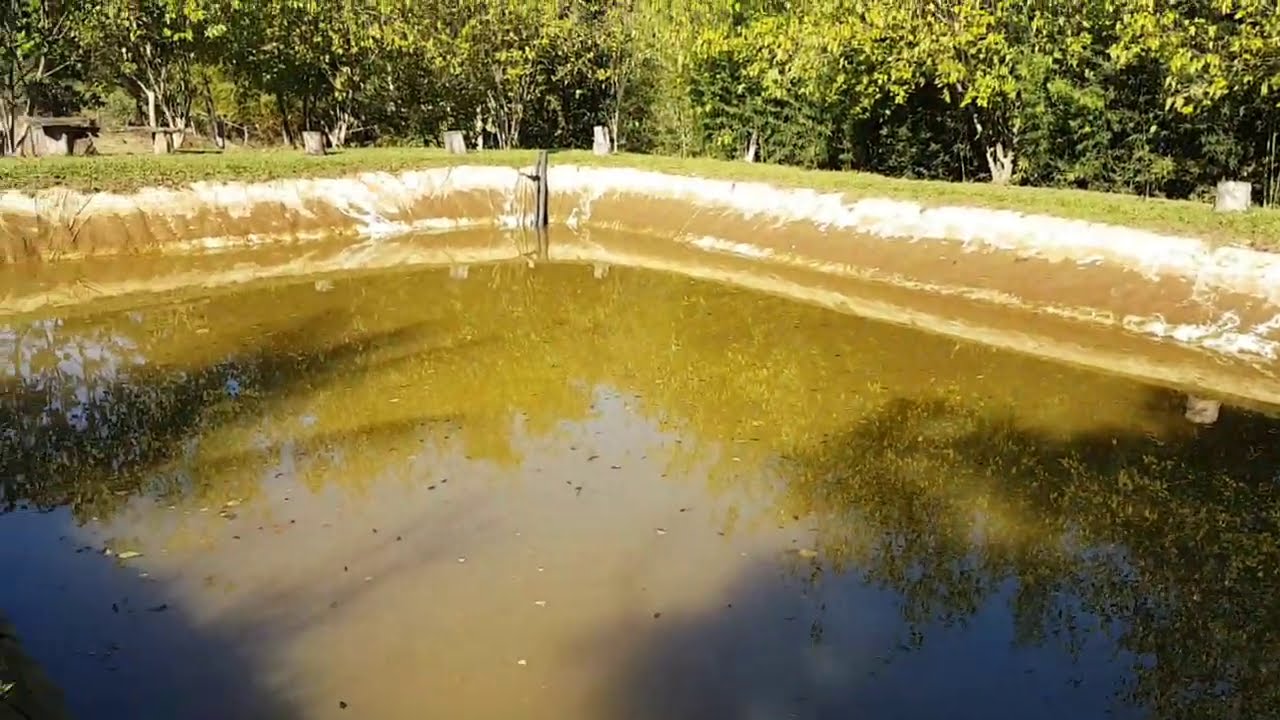 Tanque de peixes com lona os  peixes roem a lona ???