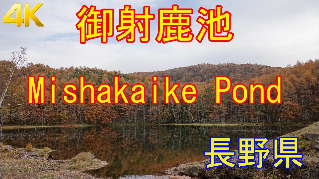 御射鹿池 （長野県・八ヶ岳周辺・紅葉）Mishakaike Pond GPS地図付 2020/11 [4K]