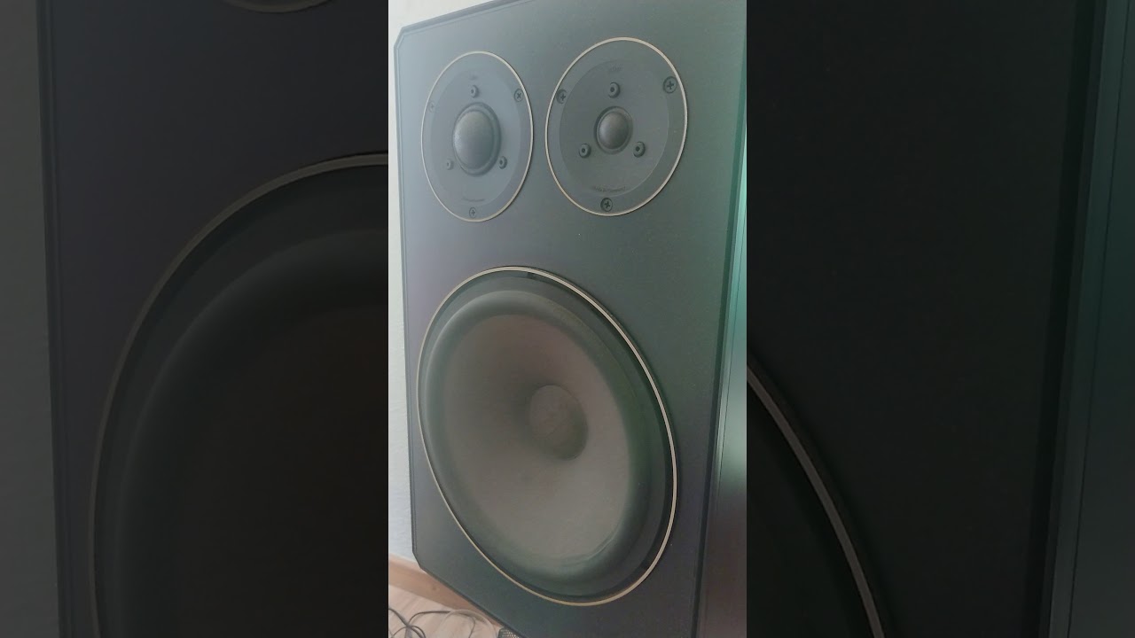 braun ls 100