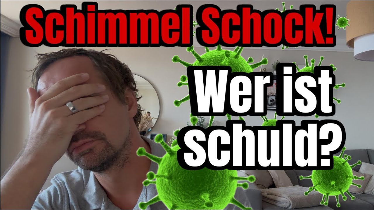 Schimmel-Schock: Diese Wahrheit kennen 90% der Mieter & Vermieter nicht! 🏚️⚖️