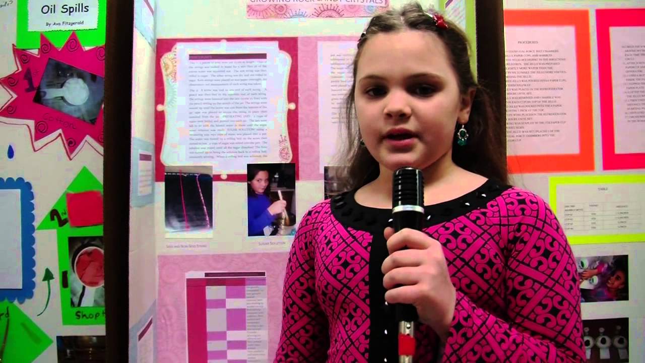 NASD Middle School Science Fair