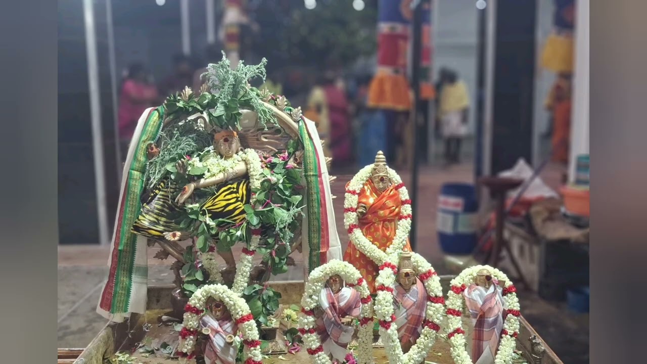 இசை வழி தில்லை தரிசனம் | ஆனந்த நடமாடுவார் | பூர்வி கல்யாணி | ரூபகம் 