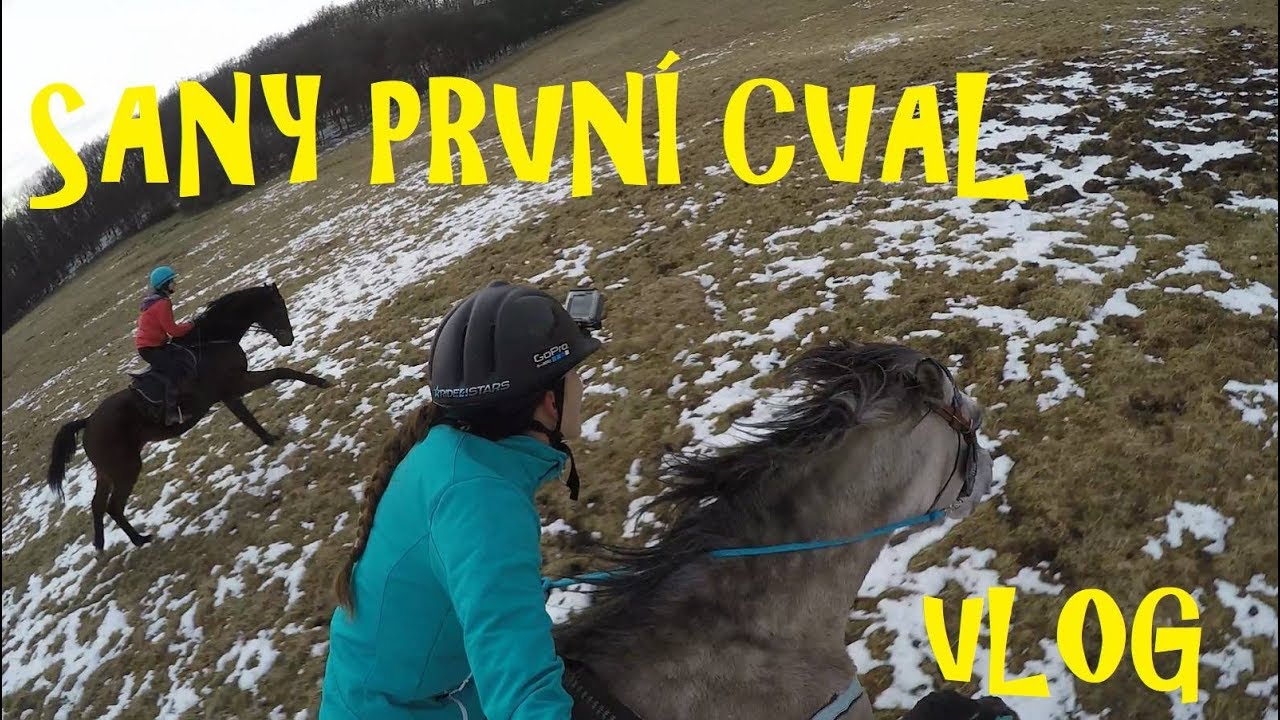 VLOG od koní // vyjížďka ve třech //