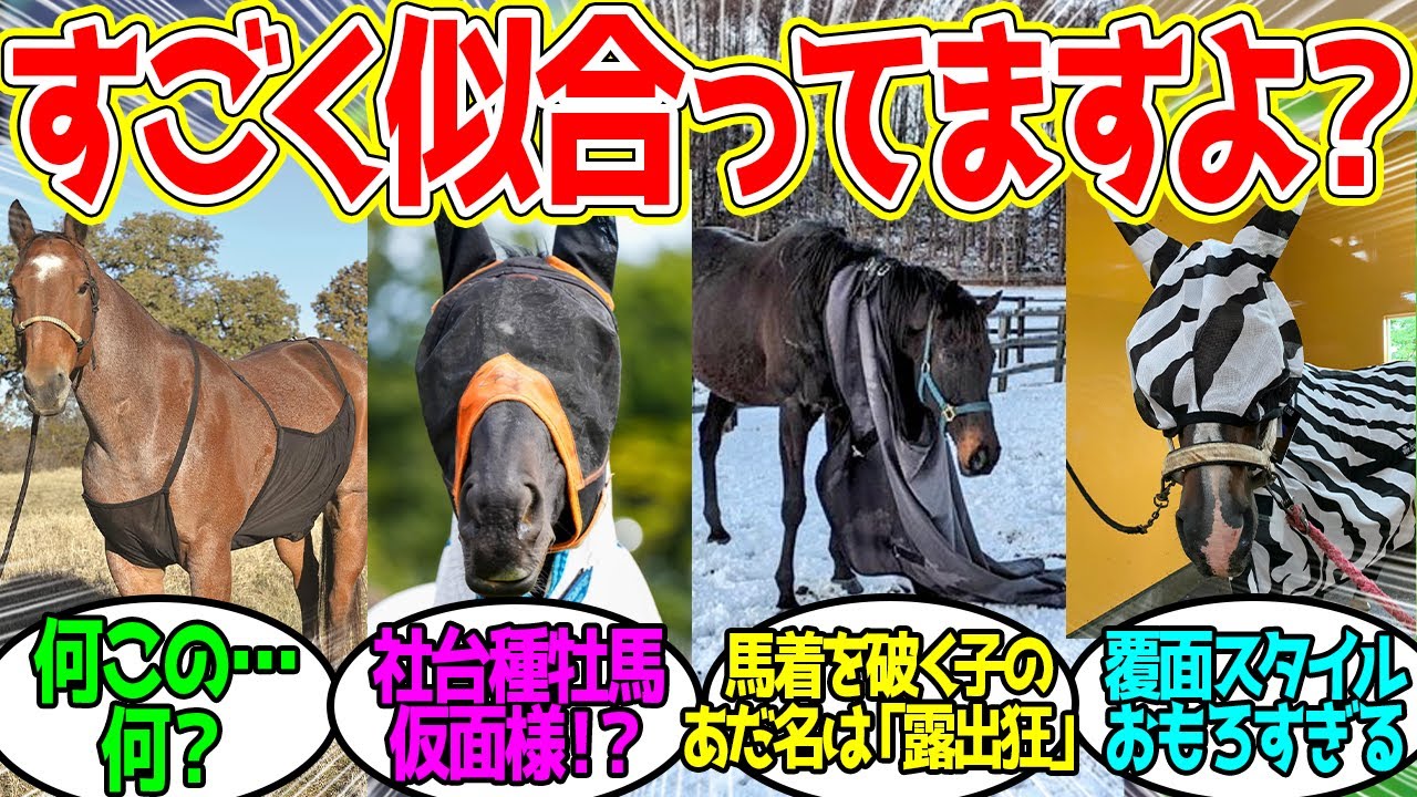 ふゆになるとヒトがきせてくるけどあれいらないよねに対するみんなの反応！【競馬 の反応集】