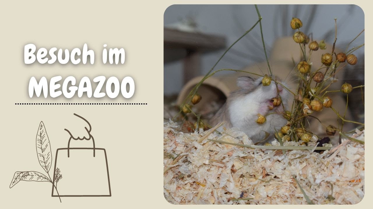 Besuch im Megazoo &hearts; Shoppen f&uuml;r die Tierchen | Nana