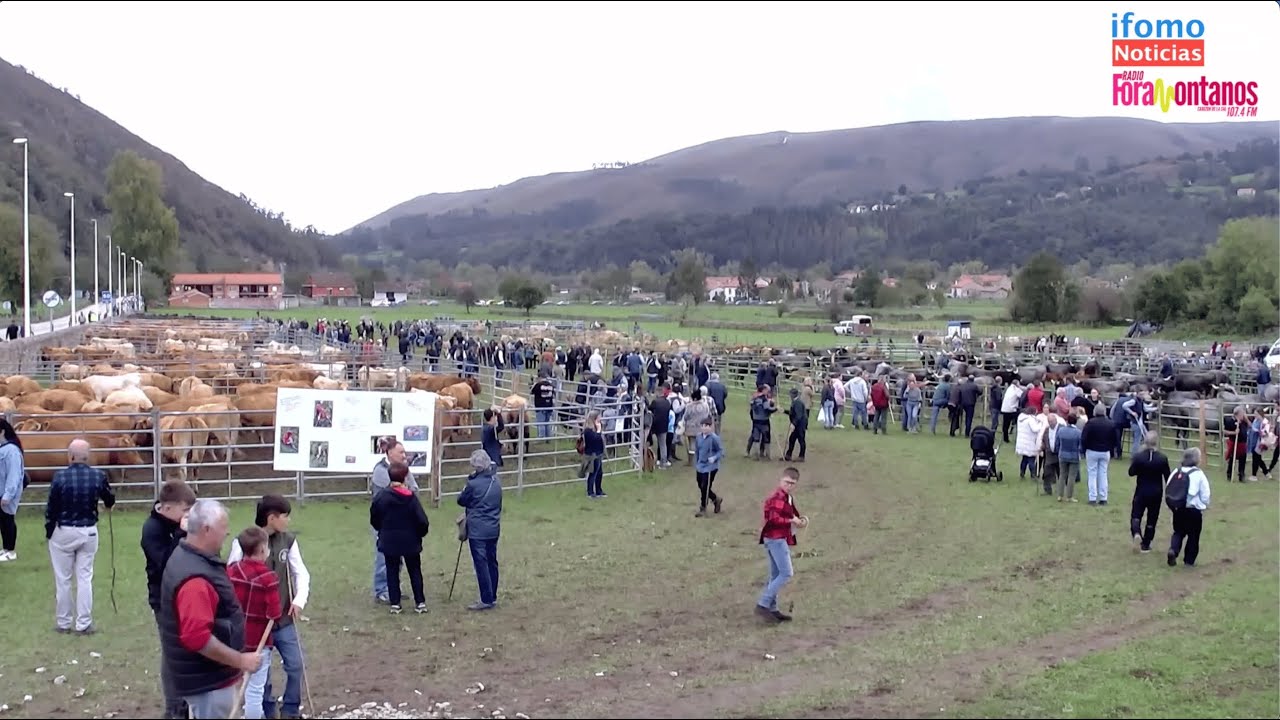 Feria de Valle de Cabuérniga 2024