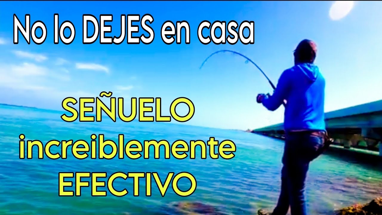 🔥🔥Pesca de Jiguaguas con Popper, Pesca de Orilla🔥🔥 (Continuaci&oacute;n)
