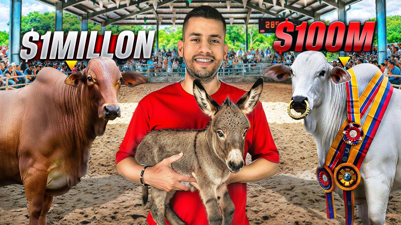 Esta Es LA FERIA mas IMPORTANTE del CAMPO COLOMBIANO 🇨🇴