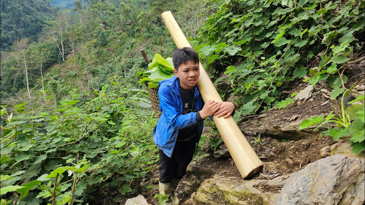 Orphan Boy - Goes to the forest to cut down banana trees to cook pig bran, picks fruit to sell
