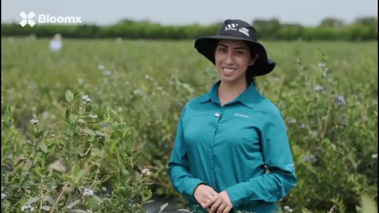 Polinización de arándanos: innovación y resultados en Agrovision