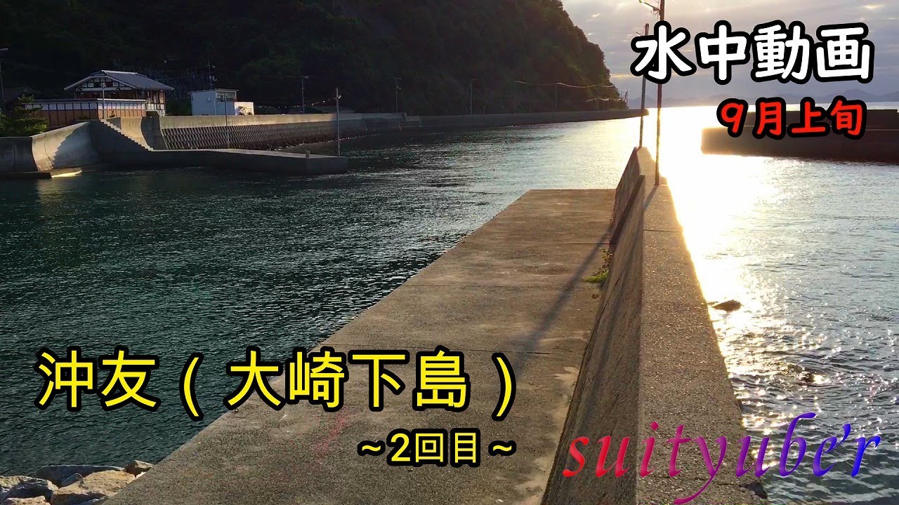 釣り人目線の水中動画　大崎下島沖友　9月