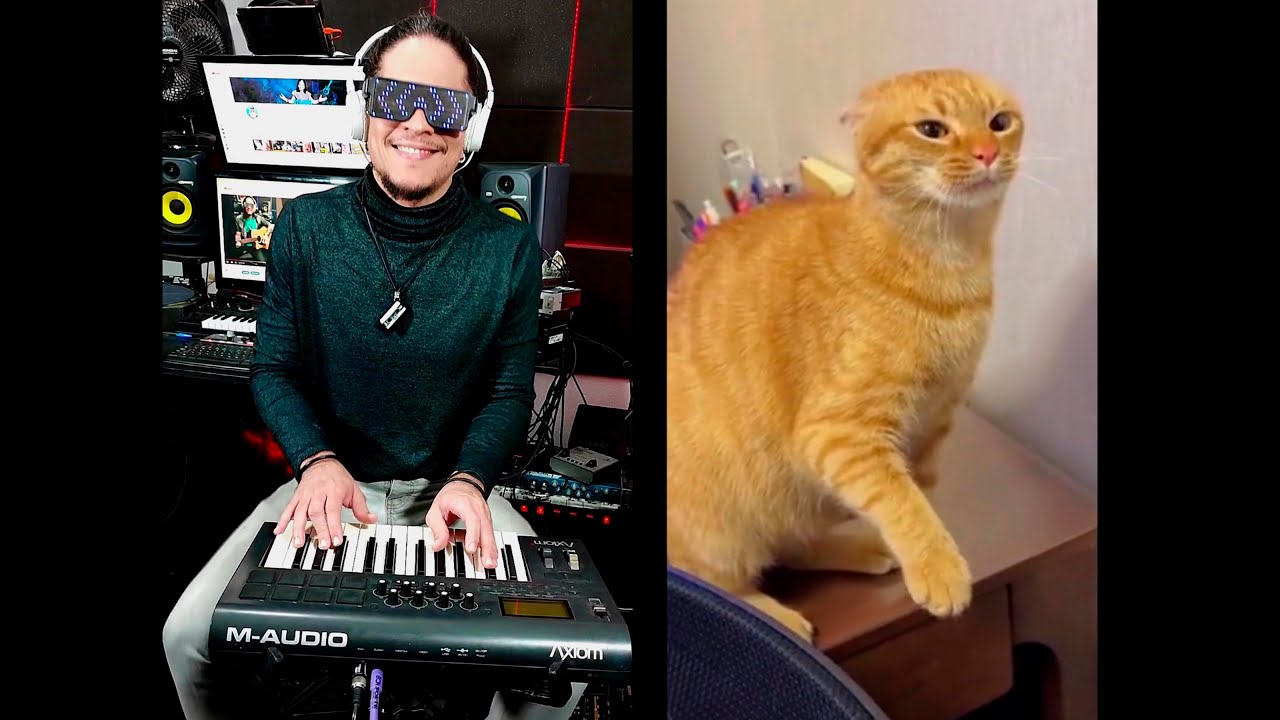 The Whining Cat's Melody - M&uacute;sica do gato reclam&atilde;o
