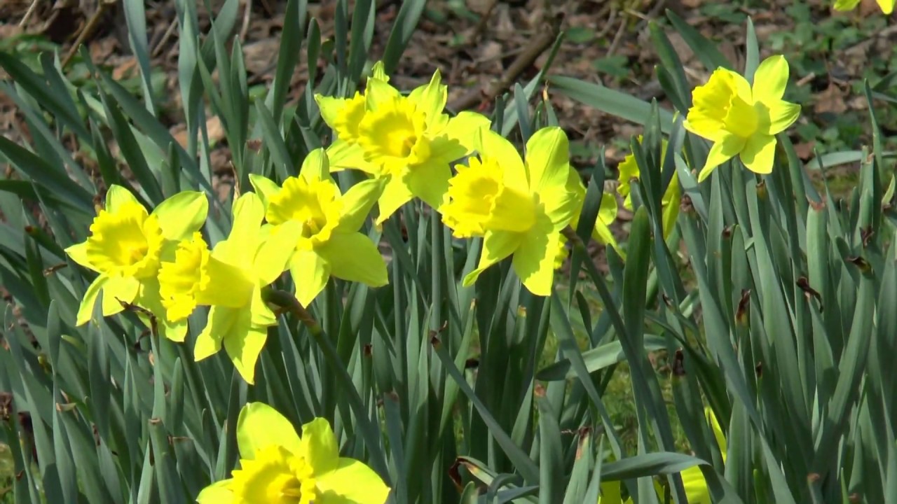 Ostern 2020