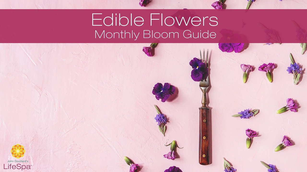 Edible Flowers: Monthly Bloom Guide