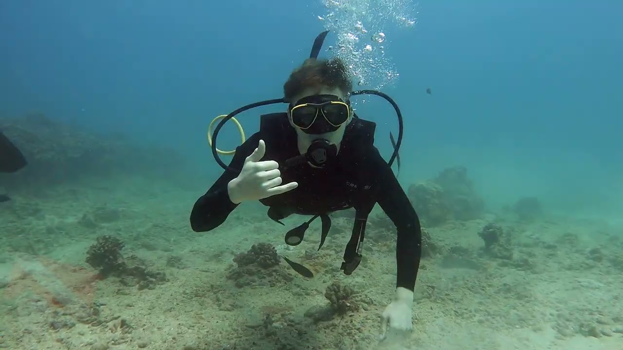 First Time SCUBA Honolulu - Vlog 710