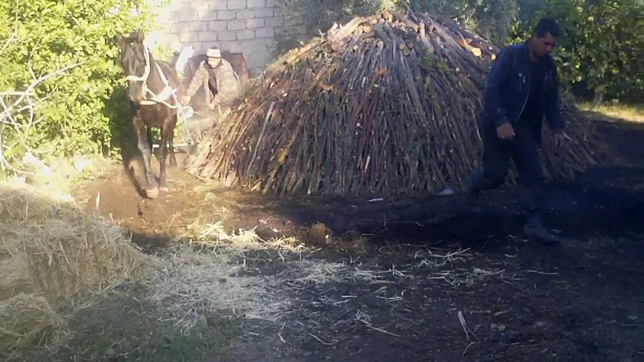 EL MARDOUMA LE CHARBON DE BOIS A GAFSA  المردومة في قفصة كيفية تحويل الحطب الى فحم