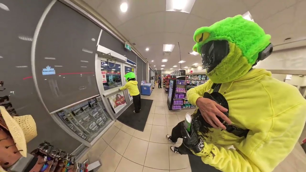MotoVlog 2 - Motofrog Mania, Frogs VS Toads