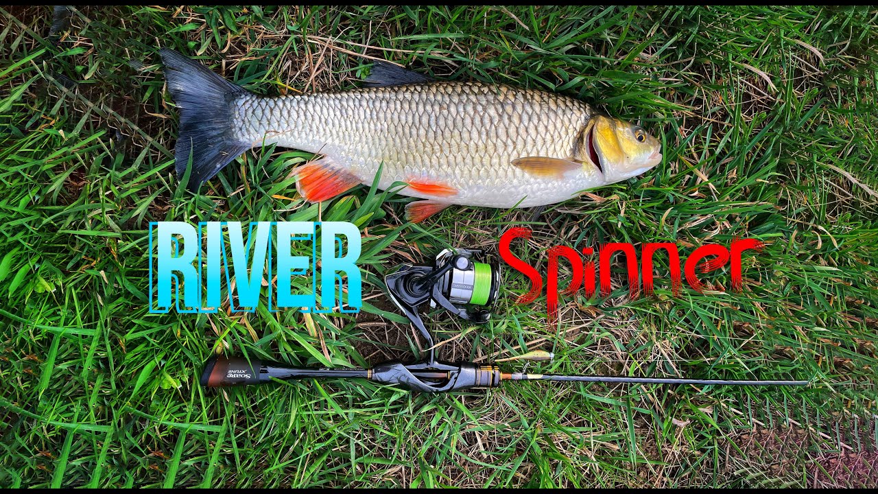 MONSTER CHUB ON SUPER ULTRA LIGHT| Shimano Soare Xtune & Shimano Vanquish | JDM TACKLE TESTED!!!