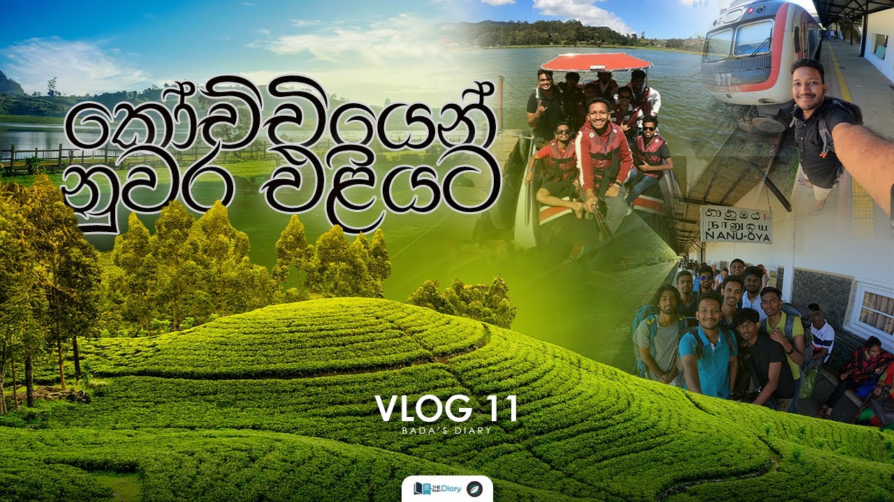 Train trip to Nuwara Eliya | කෝච්චියෙන් නුවර එලියට | Most scenic train ride in Sri Lanka | Vlog 11