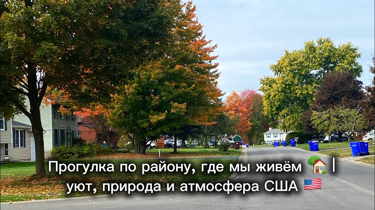 Прогулка по району, где мы живём 🏡 | уют, природа и атмосфера США 🇺🇸