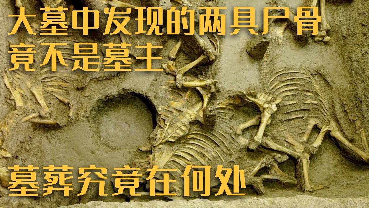 大墓中发现的两具尸骨竟不是墓主 那么M15号大墓的墓主人现在又在何处？——《陆浑戎贵族大墓》（3）20230409 | 中华国宝