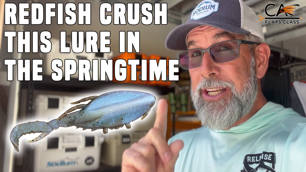 Redfish Crush This Lure In The Springtime | Flats Class YouTube