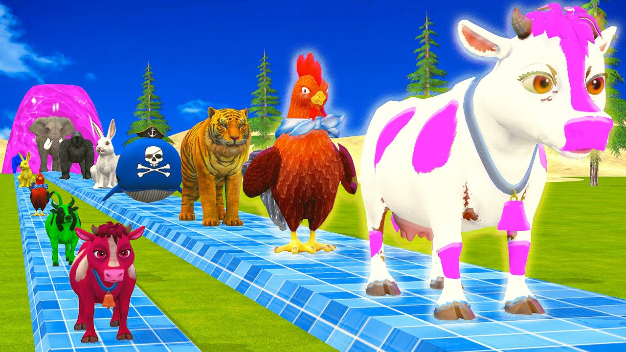 Long Slide Game With Elephant Gorilla Buffalo Hippopotamus Tiger 3d Animal Game Funny 3d Animals